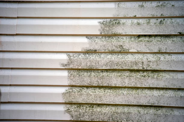 Best Siding Removal and Disposal  in Gulf Breeze, FL