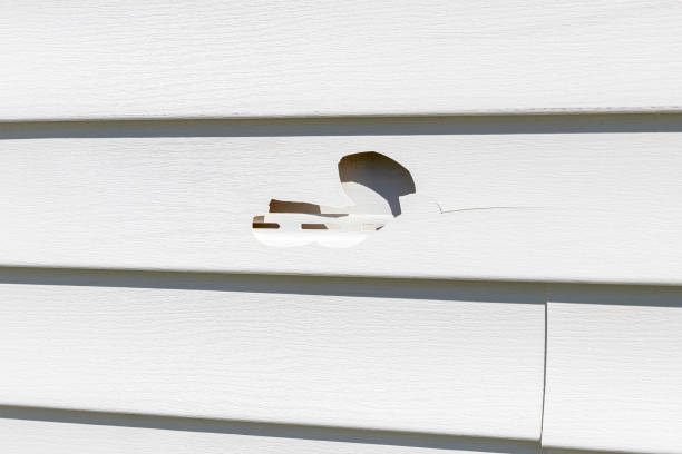 Best Custom Trim and Detailing for Siding  in Gulf Breeze, FL