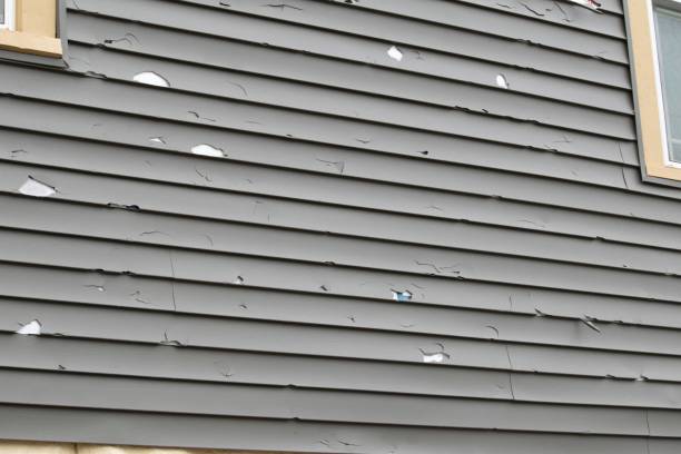 Best Vinyl Siding Installation  in Gulf Breeze, FL